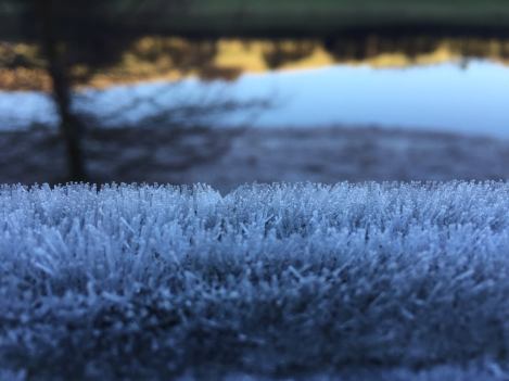 Frost on the moors.